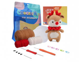 Crochet Kit for Beginners: Master the Craft?